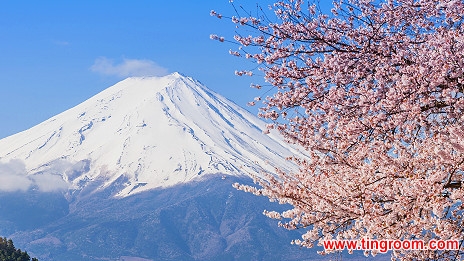 BBC媒体英语--日本富士山向游客提供免费无线