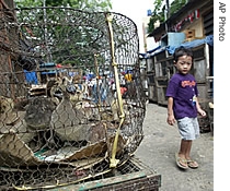 An Indonesian boy walks next to duck cage at a market in Jakarta, Sunday (File photo) 