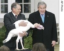 President Bush, right, pets 'Flyer' after pardoning ceremony in Rose Garden, Nov. 22, 2006
