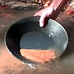 Panning for gold in a stream in Virginia