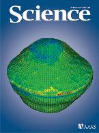A radar-derived model of Alpha, the larger half of the binary near-Earth asteroid on the cover of Science's November 2006 issue