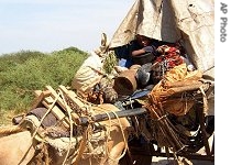 A Somali family takes a ride on a donkey cart near Buur to escape fighting, 24 Dec 2006
