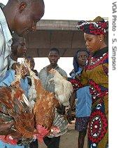 Biola Saheed (r) barters before buying a chicken in Lagos, 1 Feb 2007