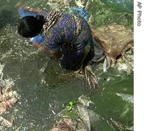 Bangladeshi woman clean dirty polythene shopping bags in polluted waters of Buriganga river in Dhaka, 19 March 2007