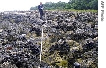 Researcher examines uplifted coral on west coast of Simeulue, Indonesia (file Mar 2007)