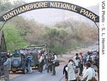 Tourists and guides preparing to enter tiger preserve