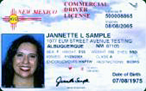 Sample of current U.S.  drivers' licenses, which under federal law must be<br />updated by 2008 to contain a computer microchip loaded with owner's<br />personal information