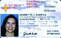Sample of current U.S. drivers' licenses, which under federal law must be<br />updated by 2008 to contain a computer microchip loaded with owner's<br />personal information