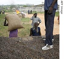 Ivorian farmers unload sacks of cocoa beans for burning at Anyama, north of Abidjan, October 19, 2006
