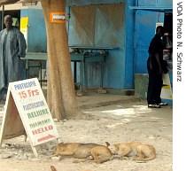 Public kiosks offer telephone and Internet service