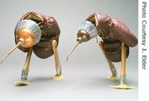 Two kiwi birds onboard the Noah's Ark Exhibit demonstrate theme of pairs and working together