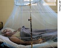 Cesar Acuna, 57, lies in a hospital bed recovering from dengue fever in Asuncion, 2 Mar 2007