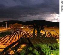 An electrical storm lights the night sky above vegetable crops on a farm near Groblersdal, South Africa, 19 Dec. 2006