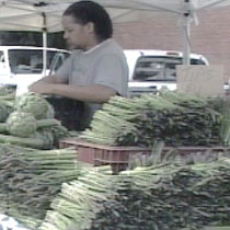 Customer shopping at the Farmer's Market