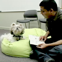reading to dog