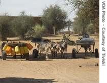 Herders deliver milk, Rosso, Mauritania