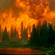 Colorado wildfires