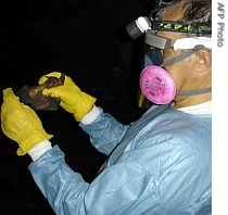 A member of a WHO ecological team, holds a bat in a lead and gold mine in Kitaka, Uganda, 12 August 2007