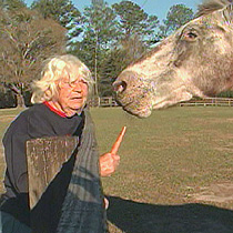 Mary Gregory feeds a carrot to one of the many horses on her farm