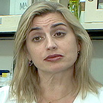 Dr. Jacqueline Moline says the air at Ground Zero was never safe