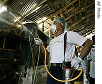 An Indonesian volunteer sprays disinfectant inside a chicken cage in Denpasar, Bali, Indonesia, 27 Aug 2007