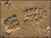 Footprint in the mud