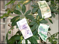 Money on a tree