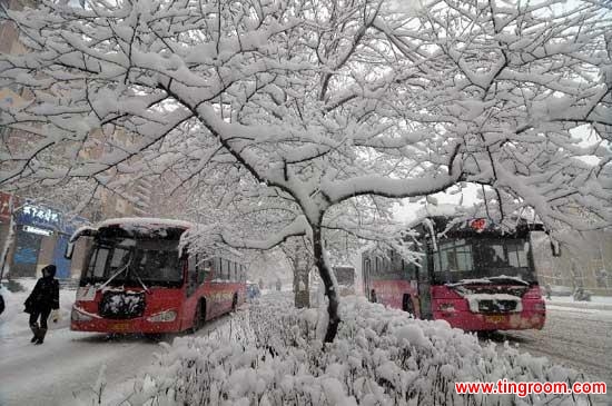 Buses move in the snow on the road in Mudanjiang City, northeast China's Heilongjiang Province, Nov. 25, 2013. As of noon on Monday, ten highways in Heilongjiang were closed, eight flights were canceled, and four airports had been closed. Heavy snowstorms will hit northeast China on Monday and Tuesday, while a cold front sweeps central and eastern China over the next three days, the National Meteorological Center (NMC) said on Monday. (Xinhua/Zhang Chunxiang)
