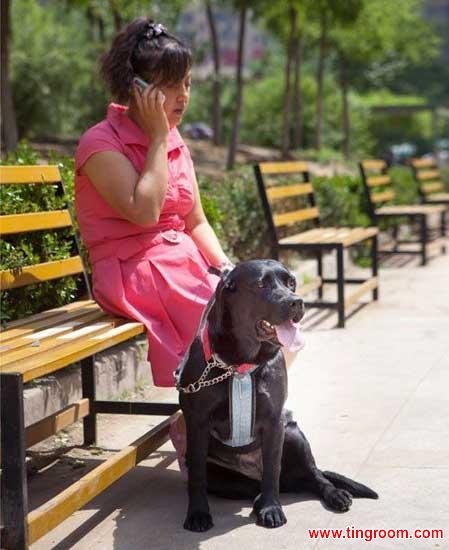 Chen Yan and her guide dog Jenny.