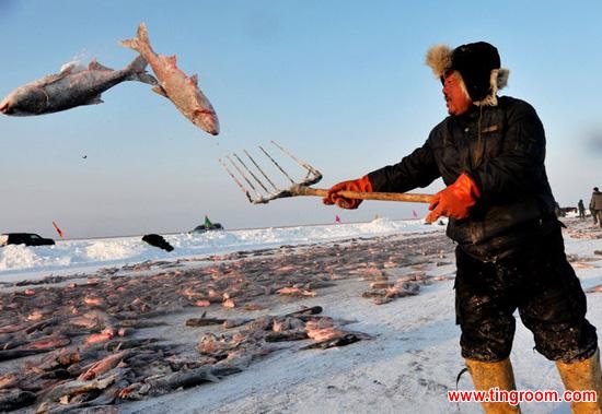 Chagan Lake is the seventh largest freshwater lake in China and is home to 70 different species of fish.