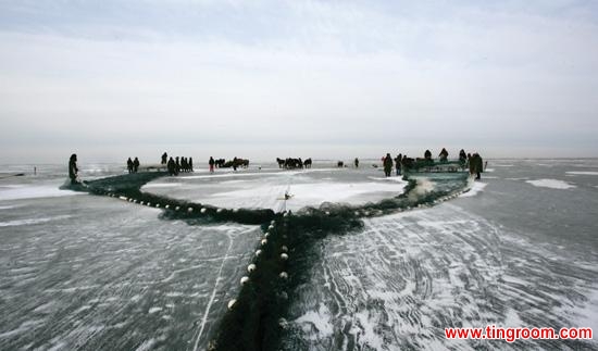 Chagan Lake is the seventh largest freshwater lake in China and is home to 70 different species of fish.