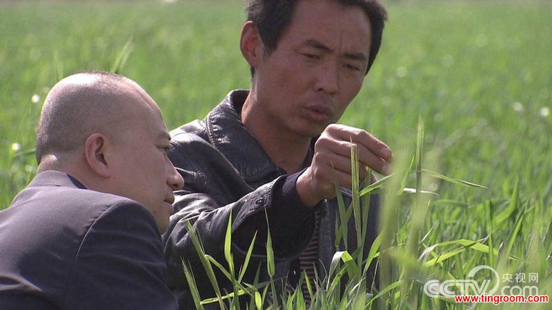 Over the past month, our reporter Han Bin and his crew have been traveling across the country to understand more about the causes and possible solutions to this increasingly urgent issue. The result is the 12-episode special series, "Half Empty".