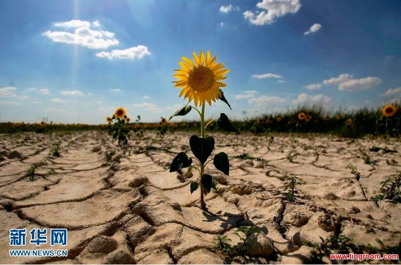 Wednesday is the World Day to Combat Desertification and Drought. For China it