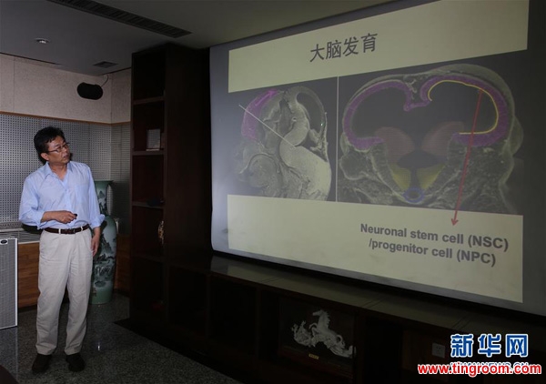 Xu Zhiheng with the Institute of Genetics and Developmental Biology of the Chinese Academy of Sciences introduce the collaborative research to the press in Beijing, capital of China, May 11, 2016. Chinese researchers said Wednesday they have found direct evidence that Zika infection causes microcephaly, a birth defect marked by an abnormally small head, in mouse experiments. [Photo: Xinhua]