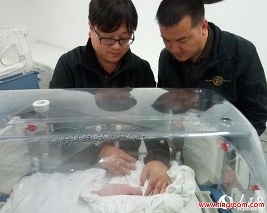 Chinese giant panda Hao Hao gave birth to a baby panda in the early hours of Thursday, Belgian animal park Pairi Daiza and the China Conservation and Research Center for the Giant Panda announced.