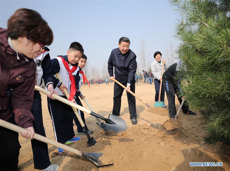 Chinese President Xi Jinping (2nd R) attends a tree planting activity in Beijing, capital of China, March 29, 2017. China